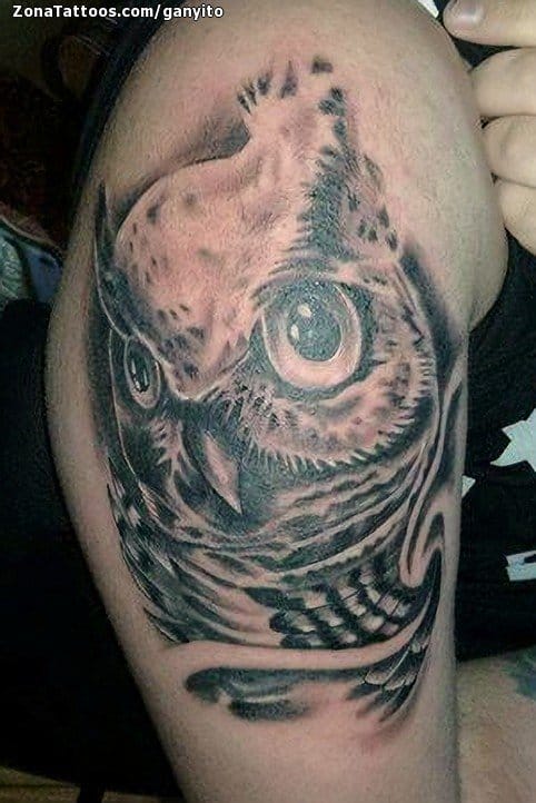 Foto de tatuaje Búhos, Aves, Animales