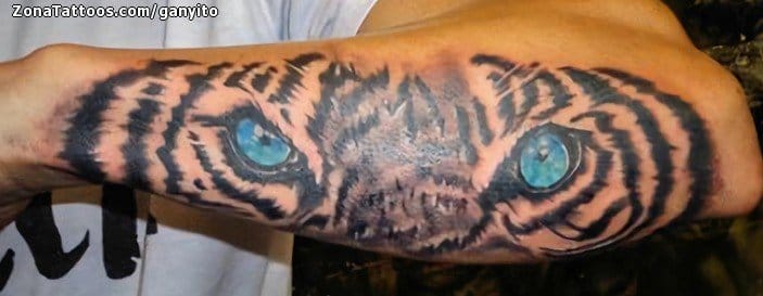 Tattoo photo Tigers, Animals, Forearm