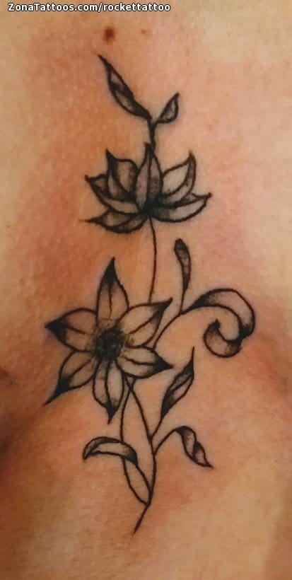 Foto de tatuaje Plantas, Pecho, Flores