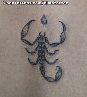 Tattoo photo Scorpions, Animals, Back