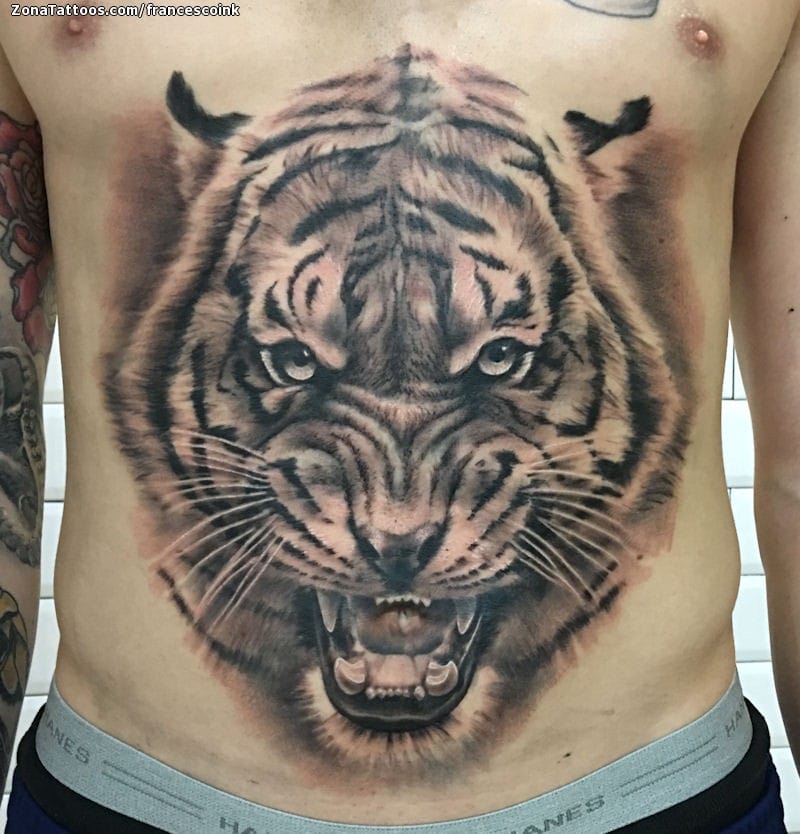 Foto de tatuaje Tigres, Barriga, Animales