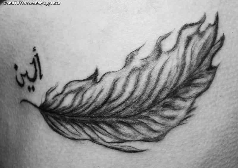 Foto de tatuaje Plumas