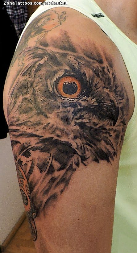 Foto de tatuaje Búhos, Aves, Animales