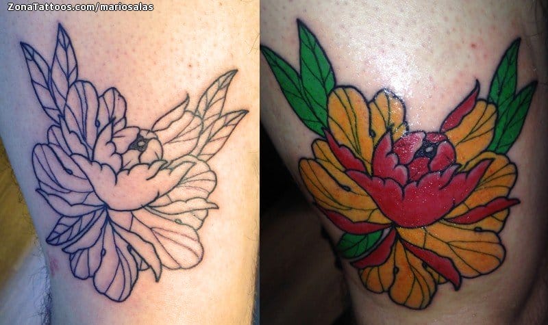 Tattoo photo Peonies, Flowers, Leg