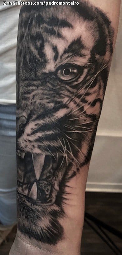 Tattoo photo Tigers, Animals, Forearm