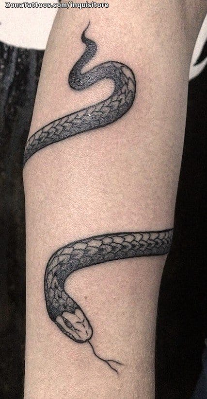 Tattoo photo Snakes, Bracelets, Animals