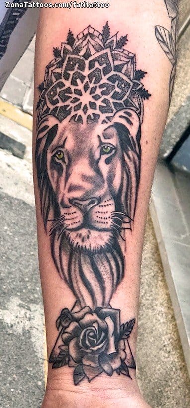 Foto de tatuaje Leones, Animales, Mándalas