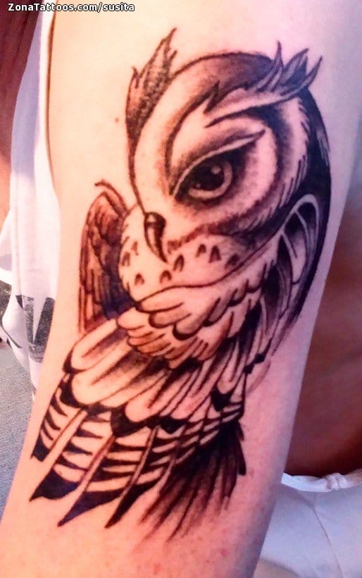 Foto de tatuaje Búhos, Aves, Animales