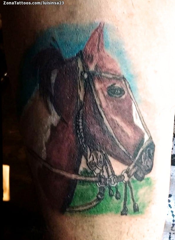 Foto de tatuaje Caballos, Animales