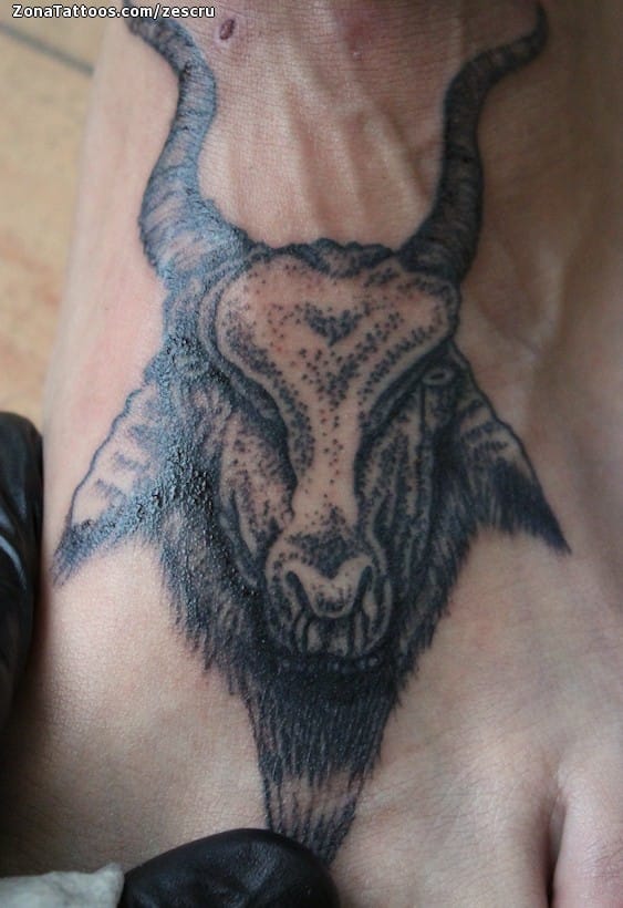 Foto de tatuaje Cabras, Animales, Puntillismo