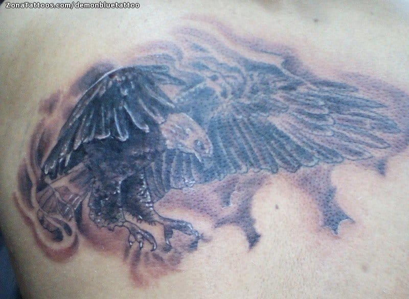 Foto de tatuaje Águilas, Aves, Animales