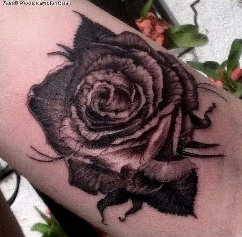 Tattoo photo Roses, Flowers