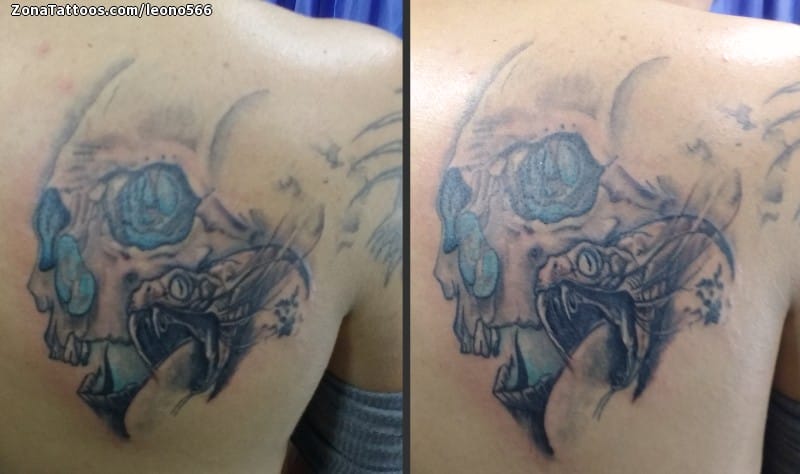 Tattoo photo Skulls, Snakes, Shoulder blade