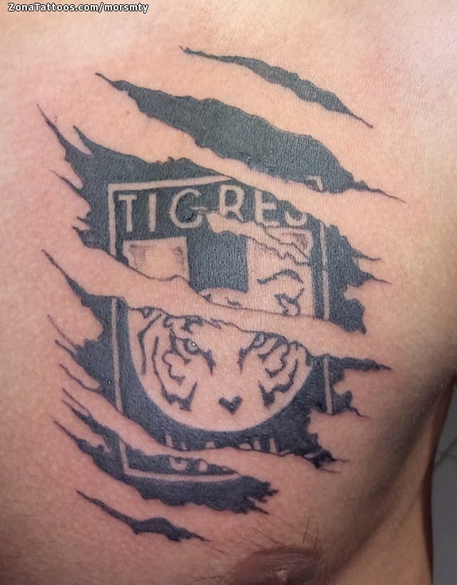 Foto de tatuaje Desgarros, Pecho, Escudos