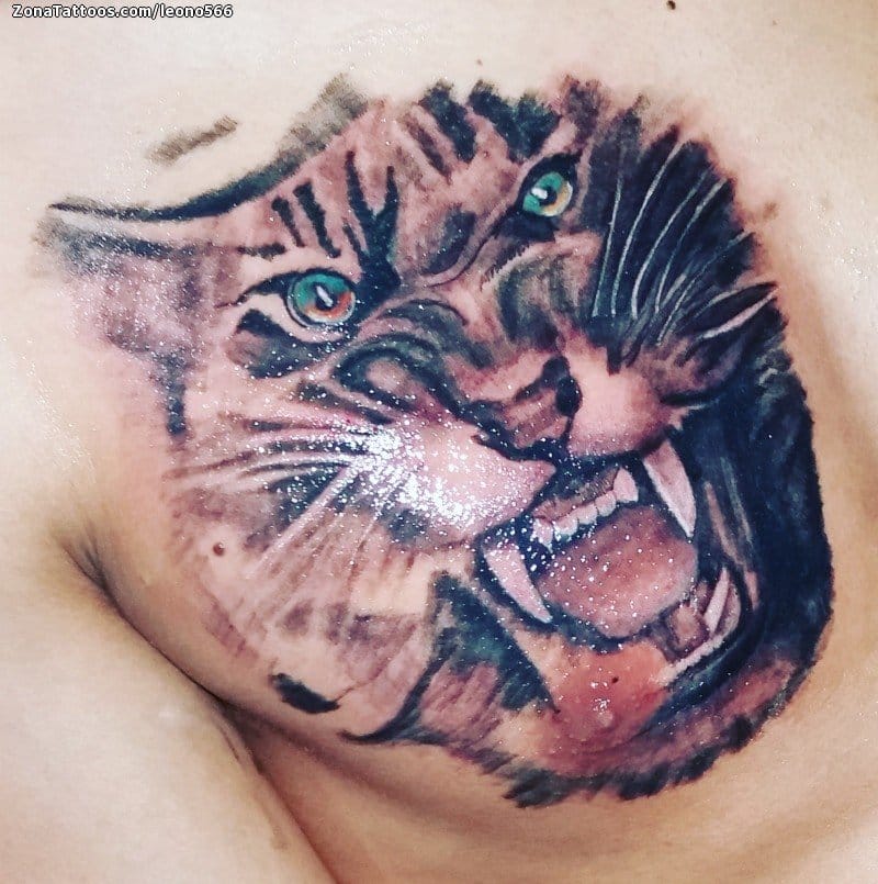 Foto de tatuaje Tigres, Animales, Pecho