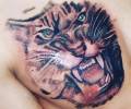 Tatuaje de leono566