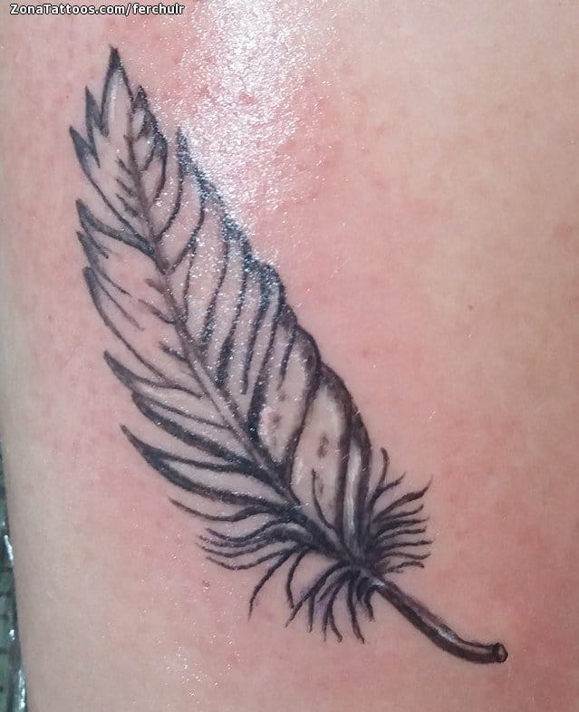 Foto de tatuaje Plumas