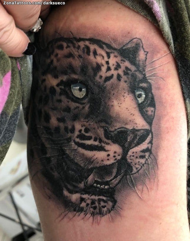 Foto de tatuaje Leopardos, Animales