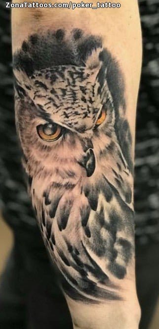 Foto de tatuaje Búhos, Aves, Animales