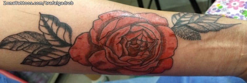 Tattoo photo Roses, Flowers, Forearm