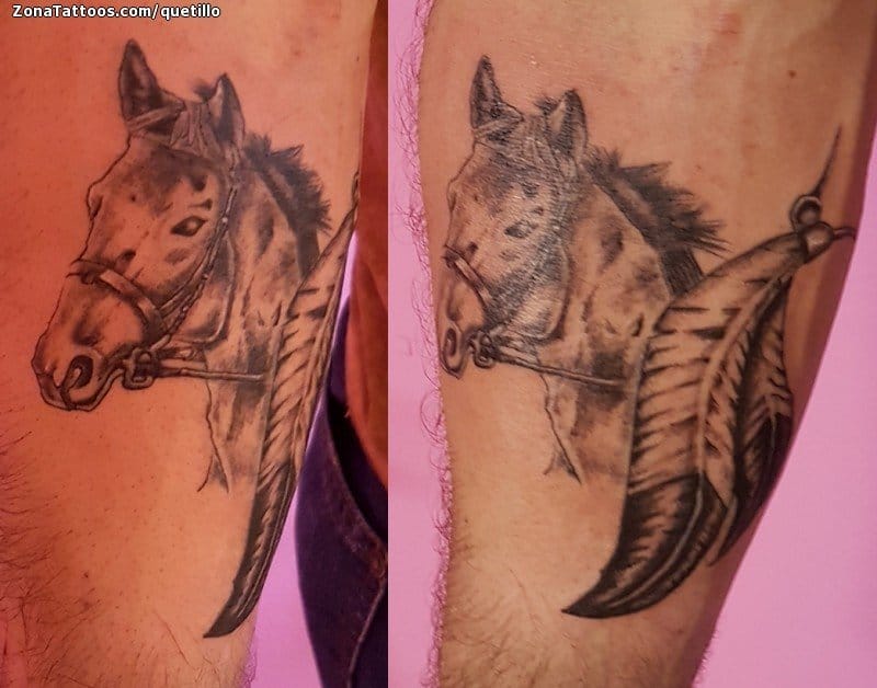 Foto de tatuaje Caballos, Plumas, Animales