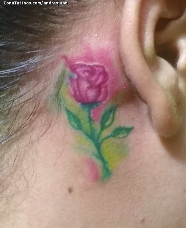 Foto de tatuaje Rosas, Flores, Pequeños