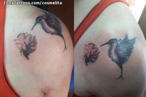 Foto de tatuaje Colibríes, Aves, Animales