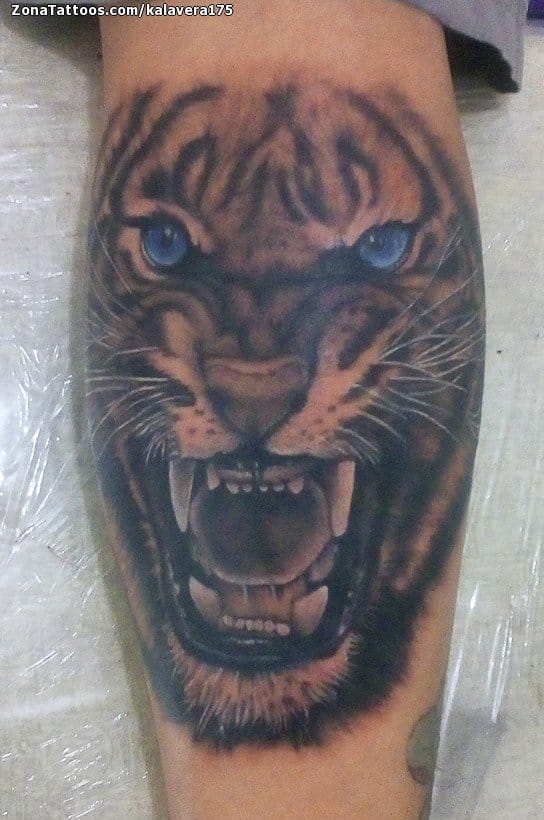 Tattoo photo Tigers, Animals