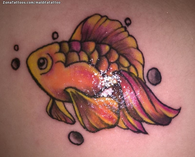 Foto de tatuaje Koi, Peces, Animales