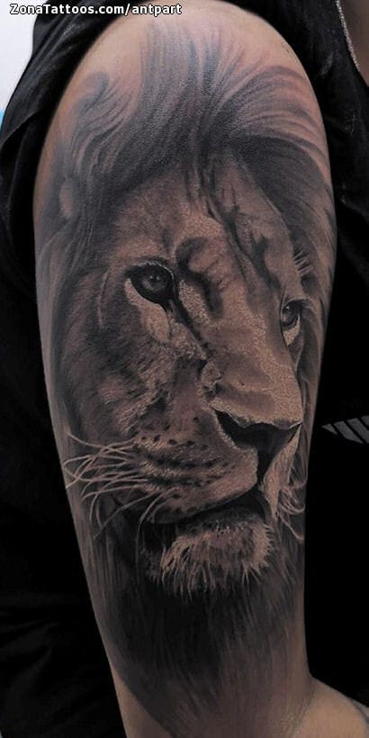 Tattoo photo Animals, Lions, Shoulder