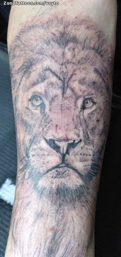 Tattoo photo Lions, Animals