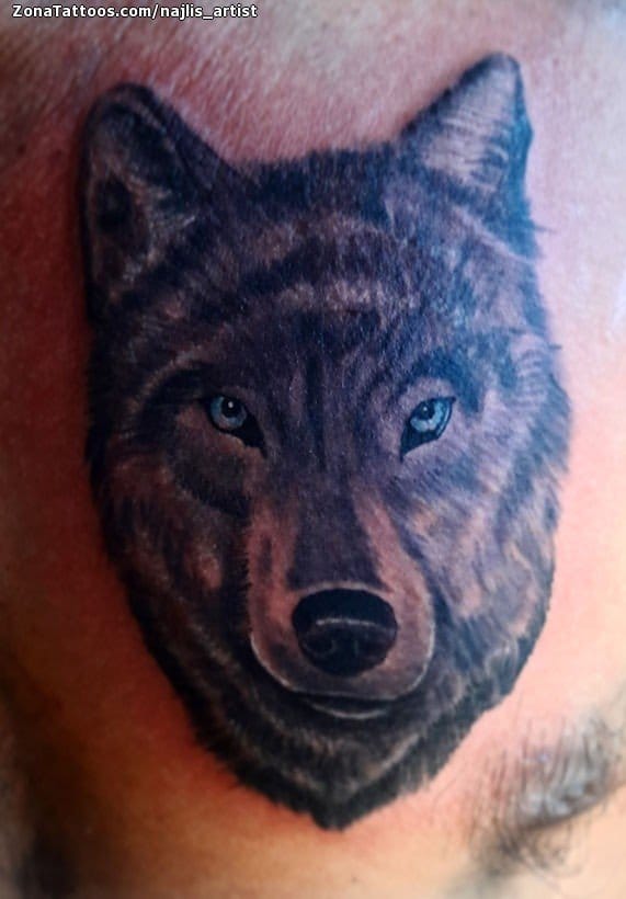 Tattoo photo Wolfs, Animals, Chest