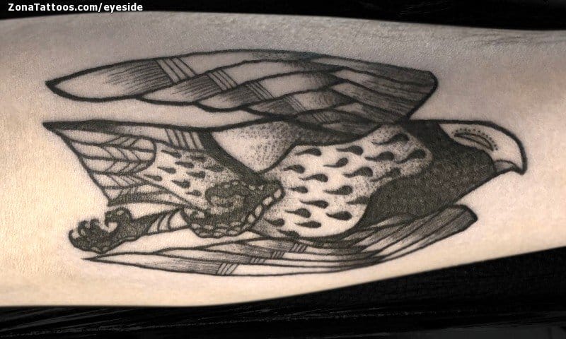 Foto de tatuaje Halcones, Aves, Animales