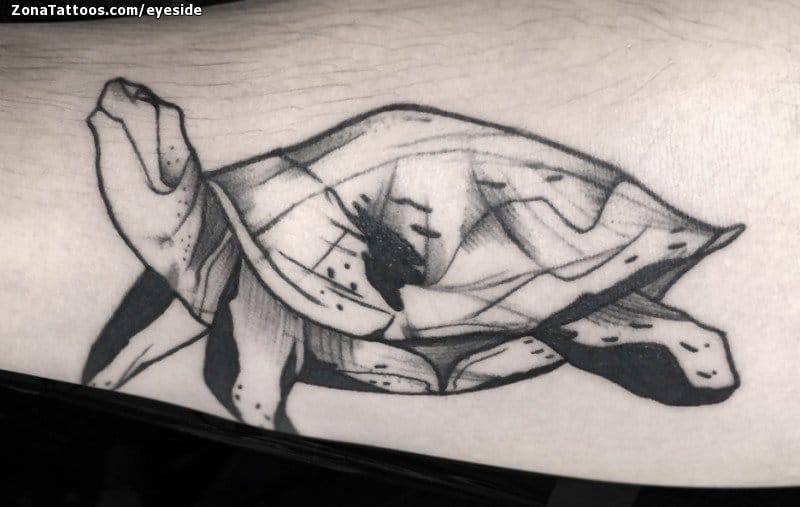 Tattoo photo Turtles, Animals