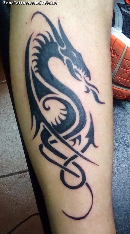 Foto de tatuaje Dragones, Tribales, Fantasía