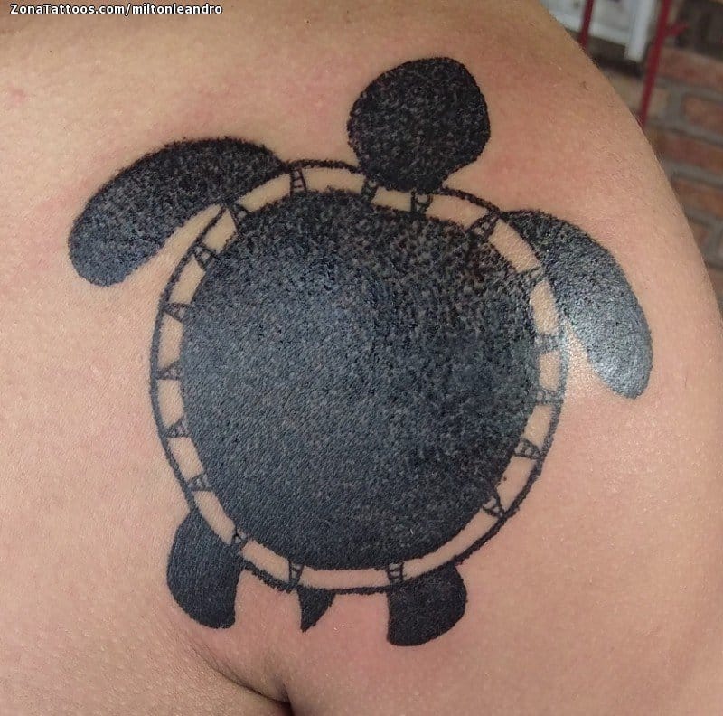 Foto de tatuaje Tortugas, Animales