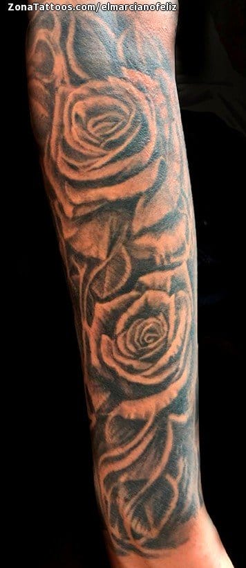 Foto de tatuaje Rosas, Flores, Mangas