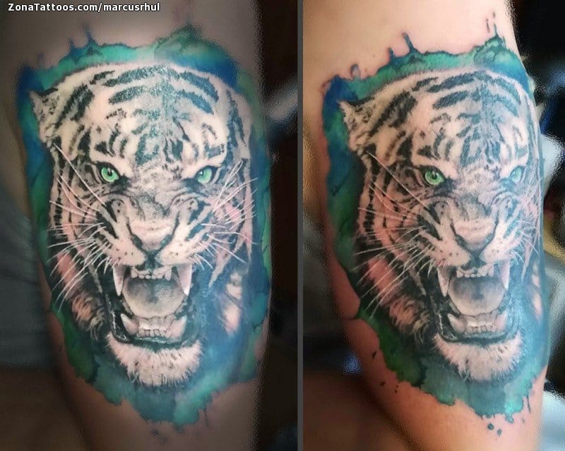 Foto de tatuaje Tigres, Animales