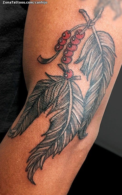 Foto de tatuaje Plumas