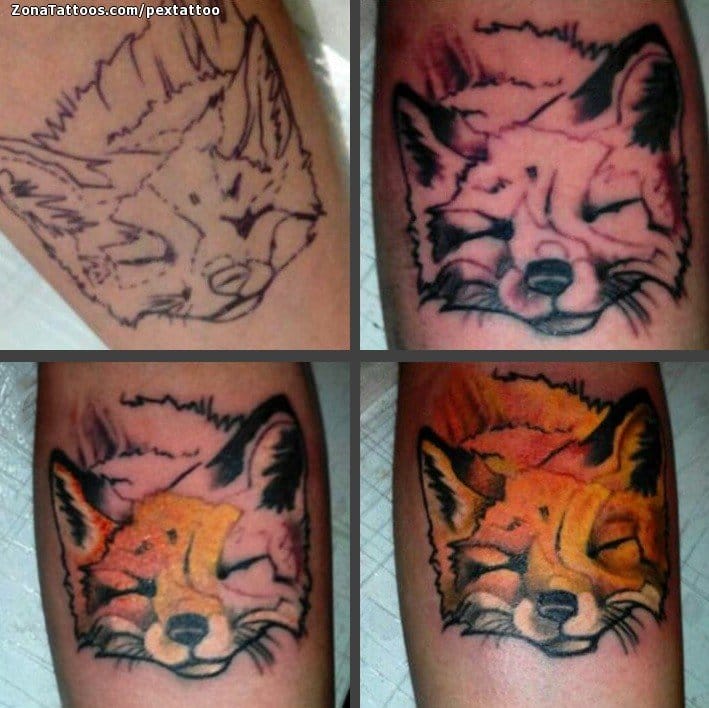 Foto de tatuaje Zorros, Animales