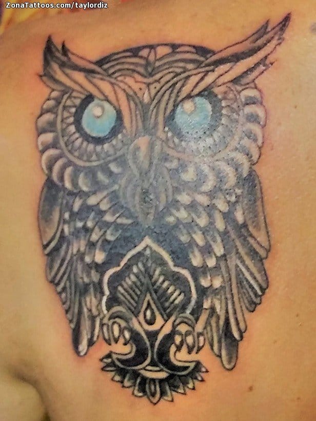 Tattoo photo Owls, Birds, Animals