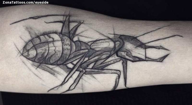 Foto de tatuaje Hormigas, Insectos, Brazo