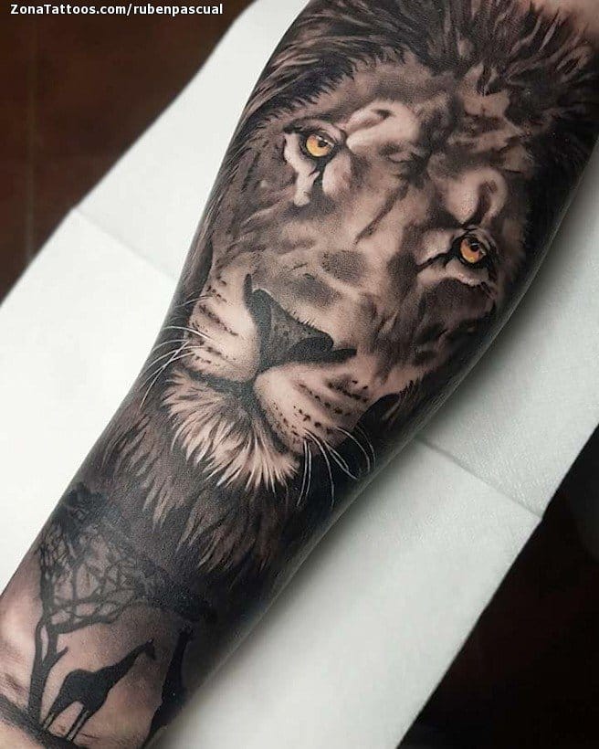 Foto de tatuaje Leones, Animales