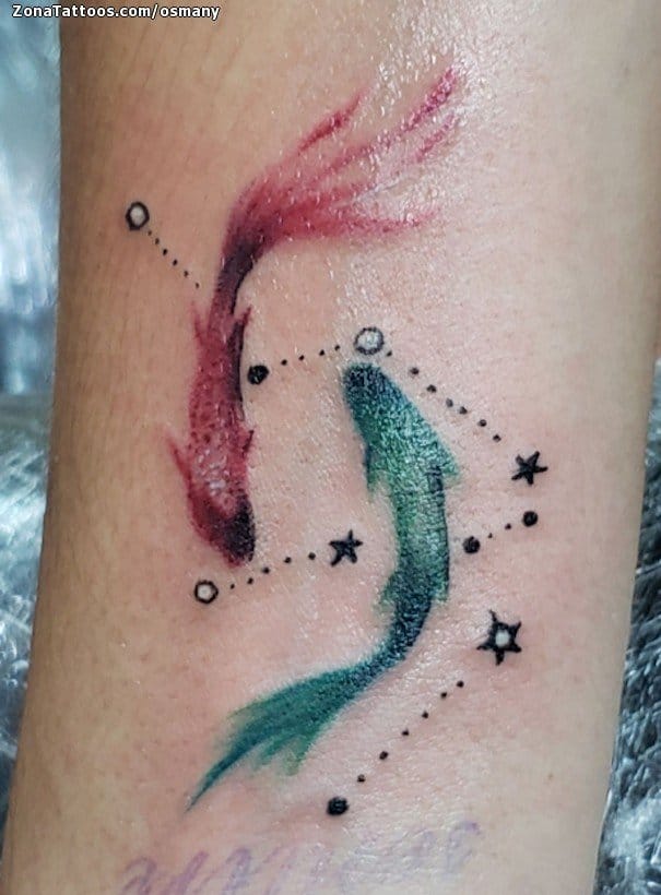 Tattoo of Fish, Animals, Constellations