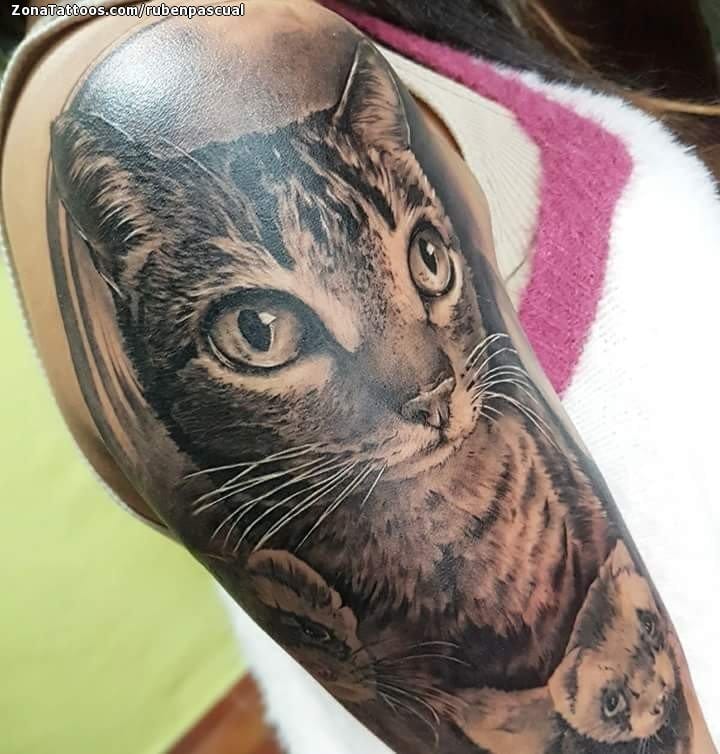 Tattoo photo Cats, Animals, Shoulder