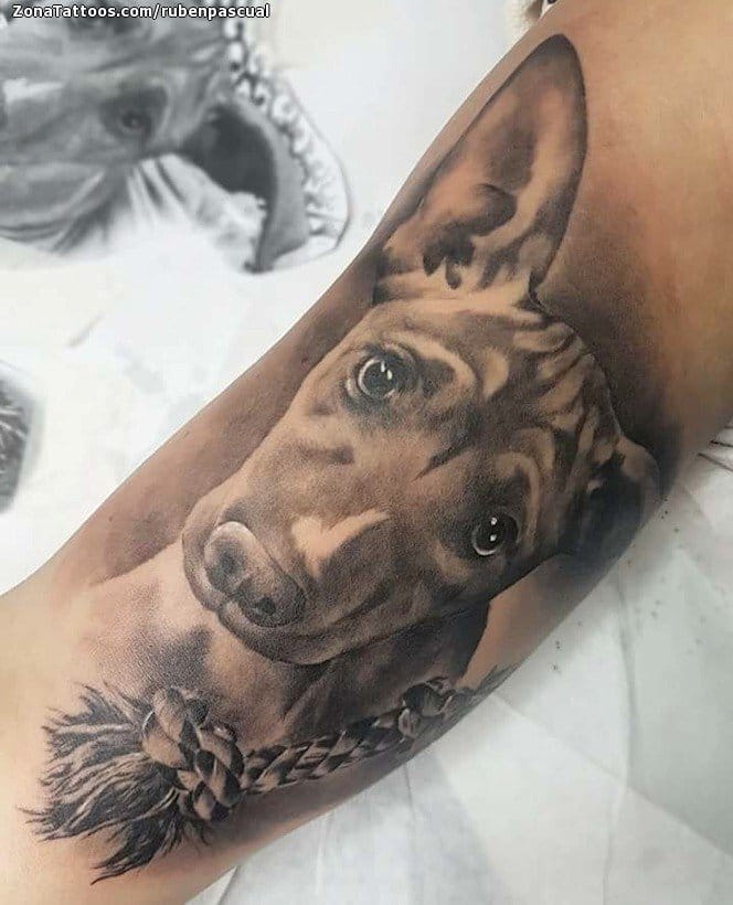 Tattoo photo Dogs, Animals