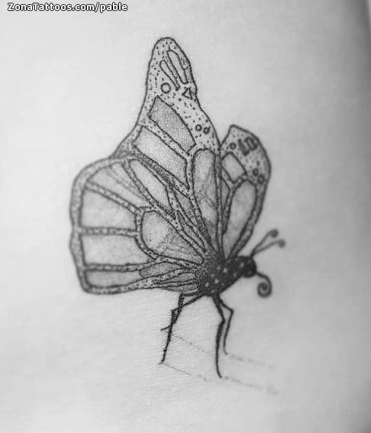 Foto de tatuaje Mariposas, Insectos