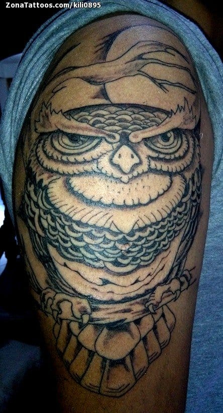 Tattoo photo Owls, Birds, Animals