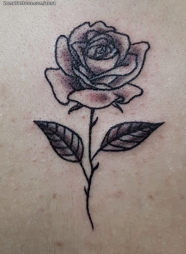 Foto de tatuaje Rosas, Flores