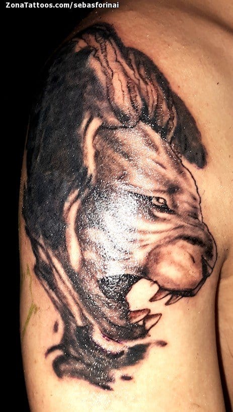 Foto de tatuaje Leones, Animales, Hombro